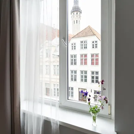 Bright With View In The 0ld Town Tallinn