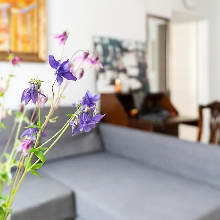 Bright With Sauna In The 0ld Town *